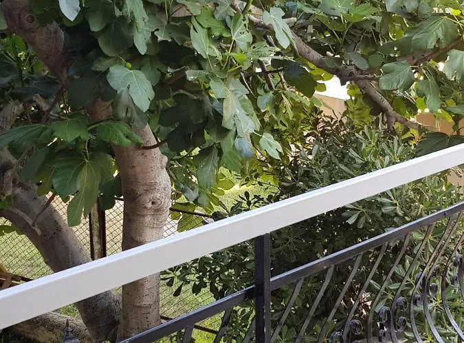 Argo Hotel de apartamente *